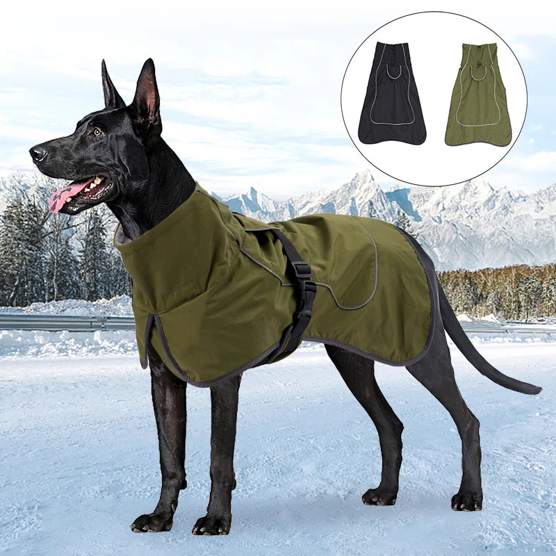 Dog wearing a green coat in a snowy landscape with inset images of black and green coats.