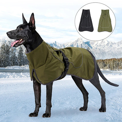 Dog wearing a green coat in a snowy landscape with inset images of black and green coats.