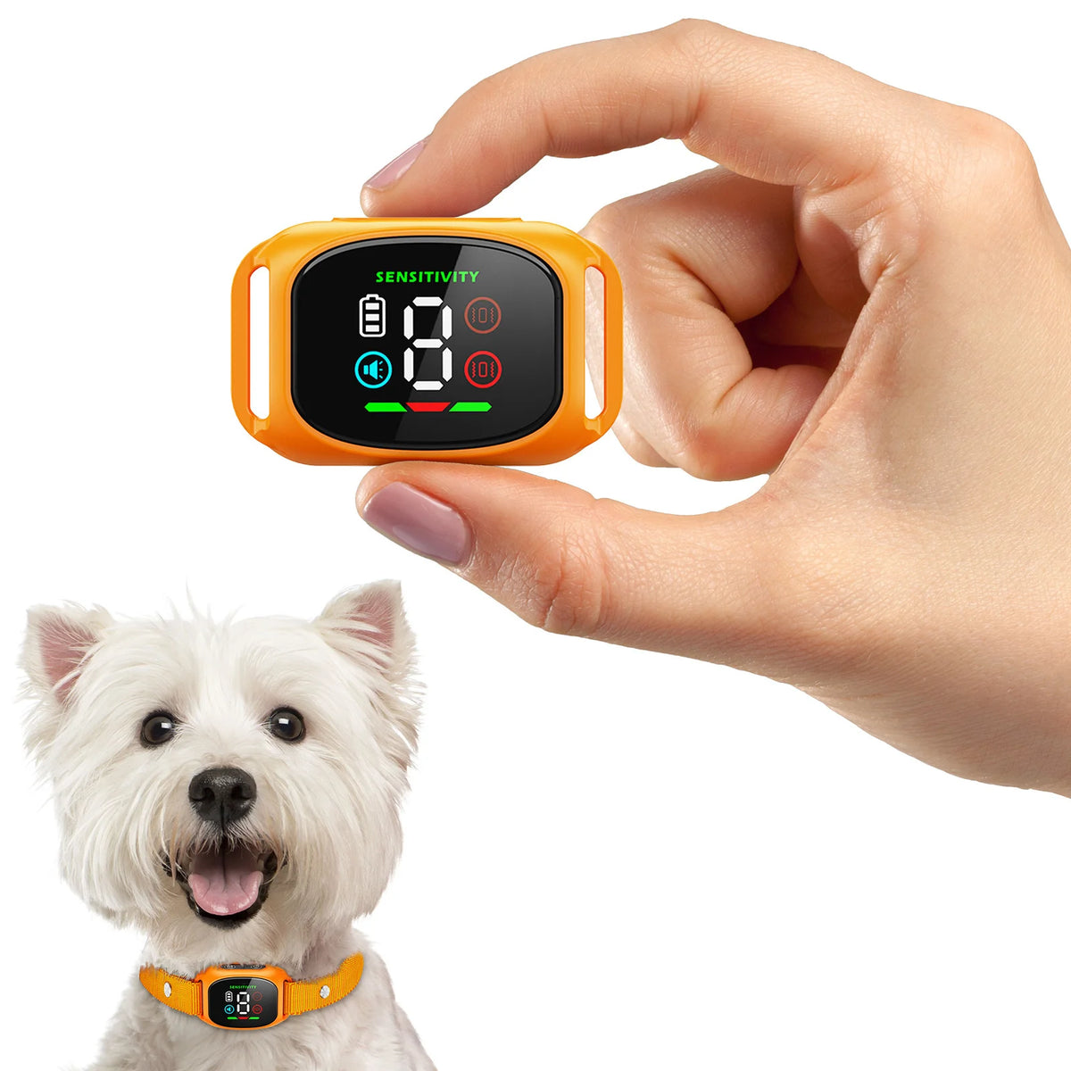 The Furrkin Training Companion Collar