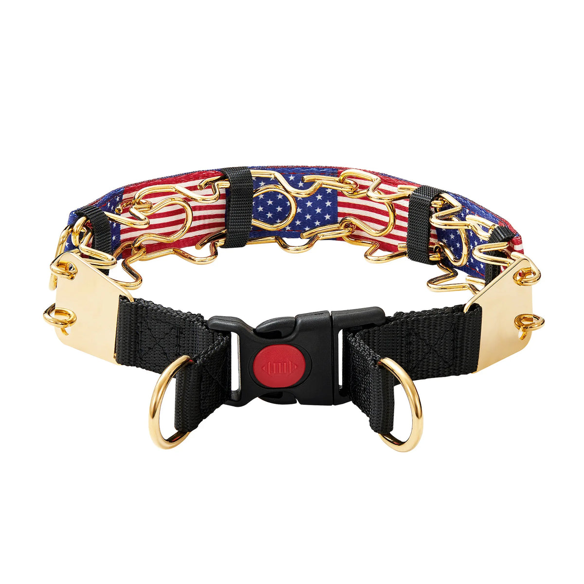 The Furrkin Stainless Steel Prong Collar
