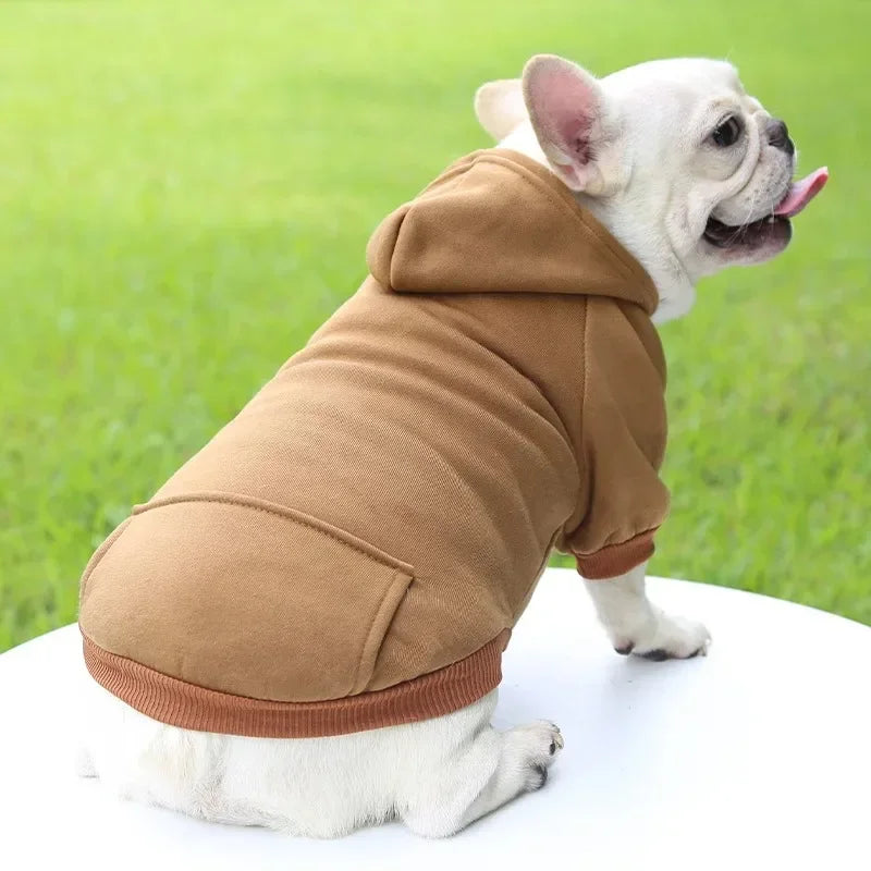 The Couch Club Hoodie