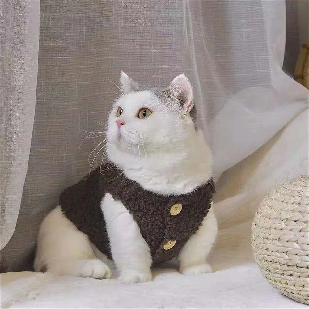 The Tiny Teddy Vest