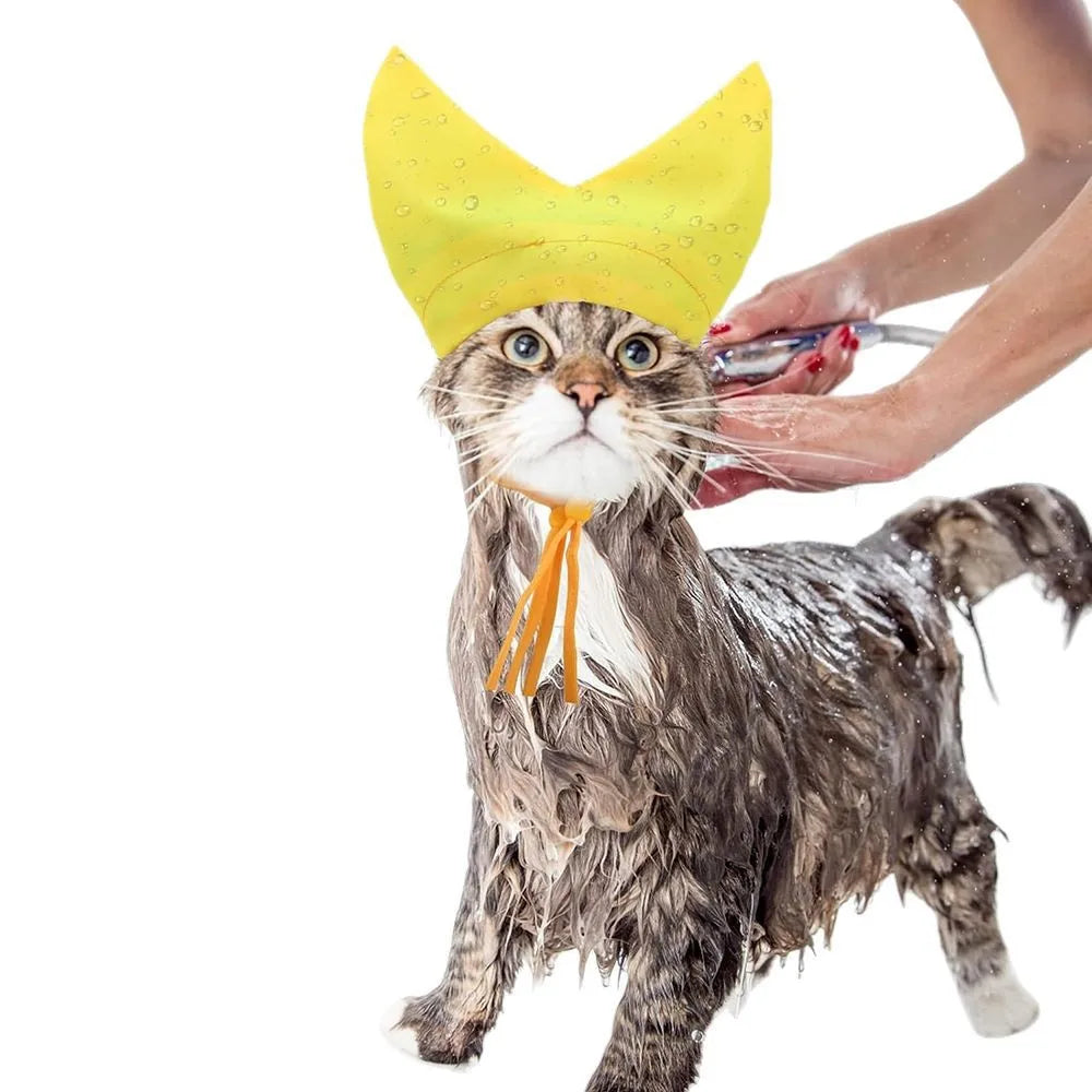 The Splish Splash Kitty Cap