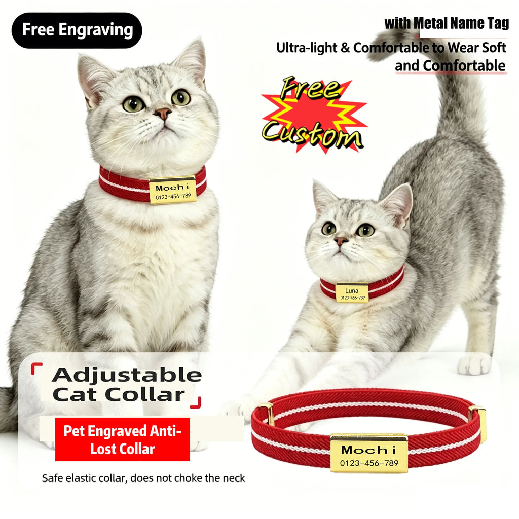 The Named Little Furrkin Cat Collar