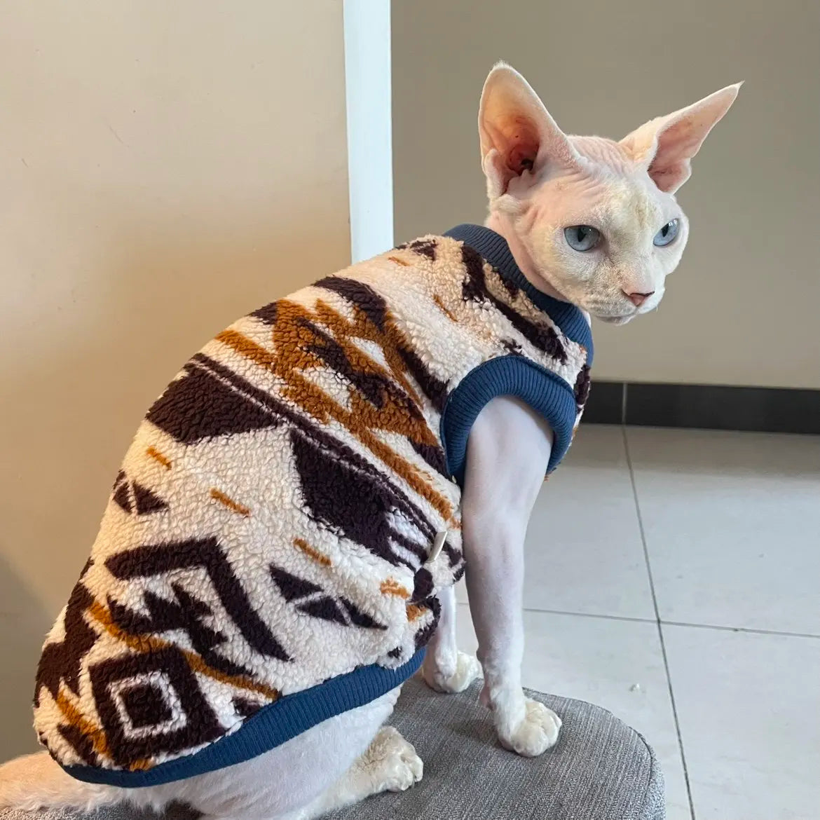The Cozy Little Menace