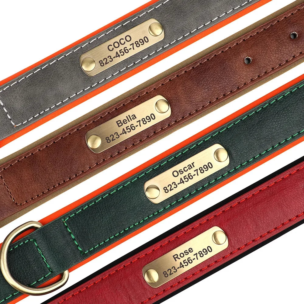 The Named & Padded Furrkin Collar