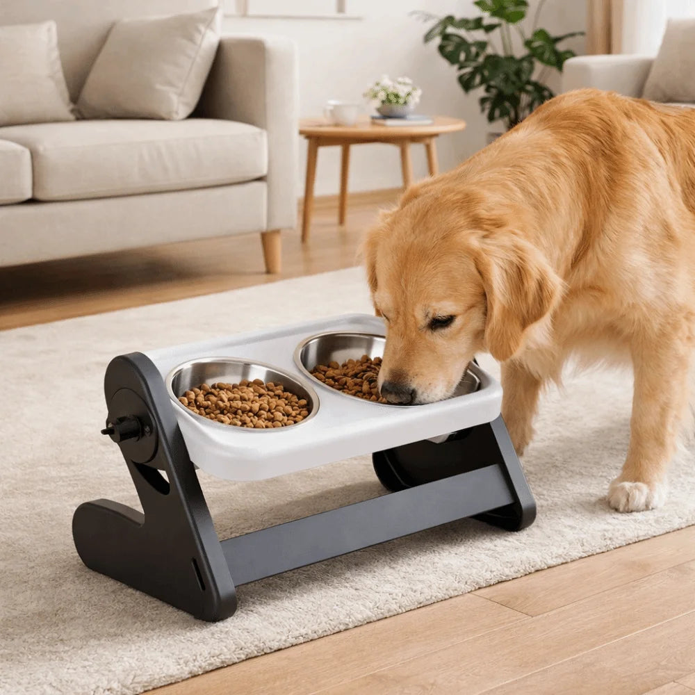 The Dinner Date Furrkin Bowl
