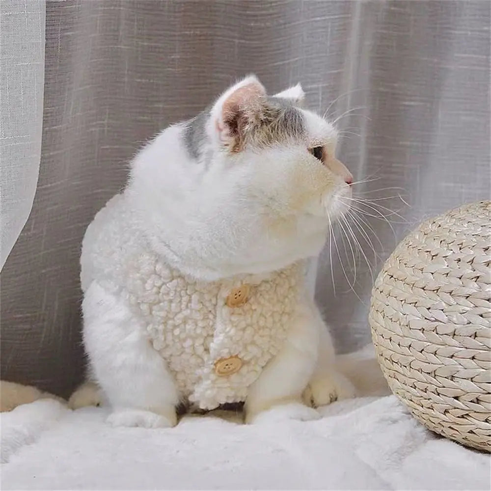 The Tiny Teddy Vest