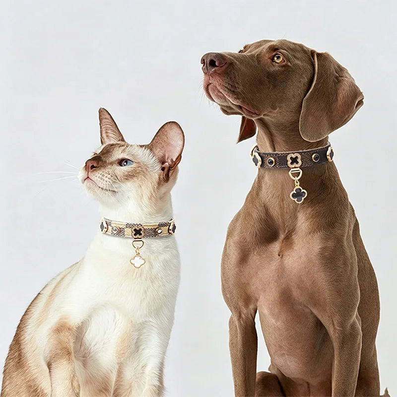 The Lucky Little Furrkin Collar
