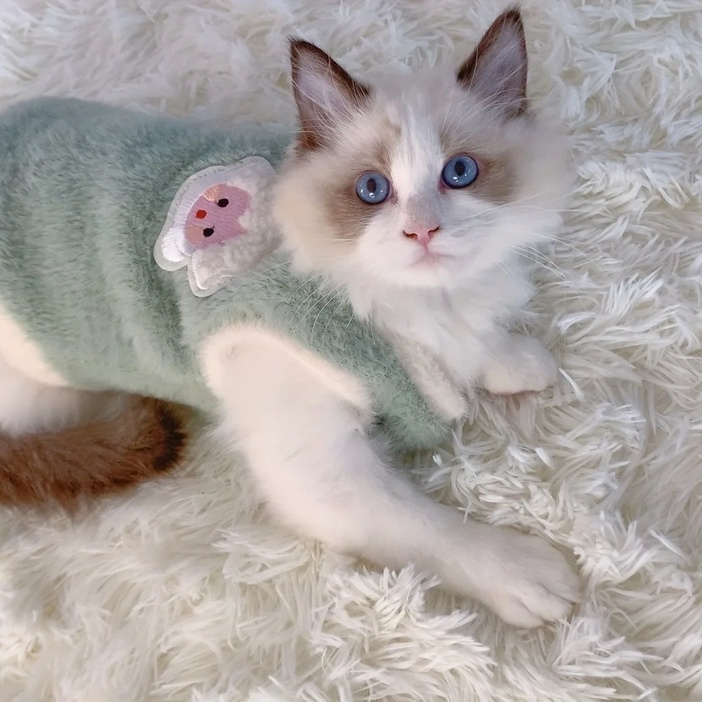 The Warm Little Lamb
