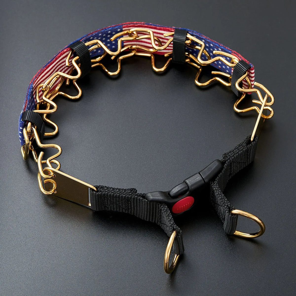 The Furrkin Stainless Steel Prong Collar