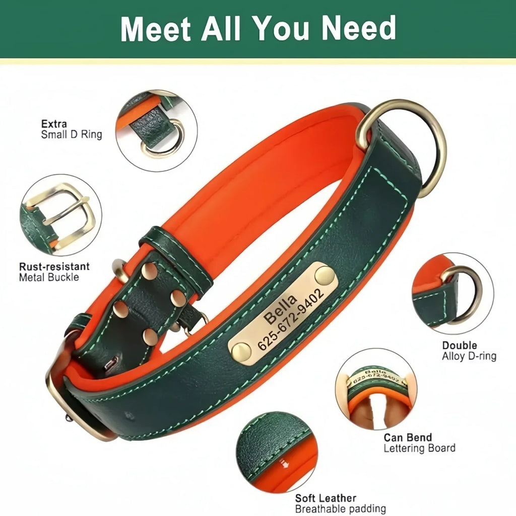 The Named & Padded Furrkin Collar