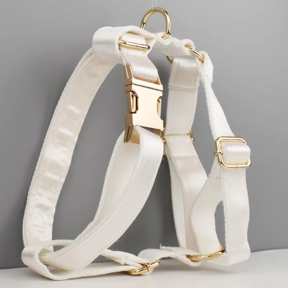 The Signature Furrkin Collar