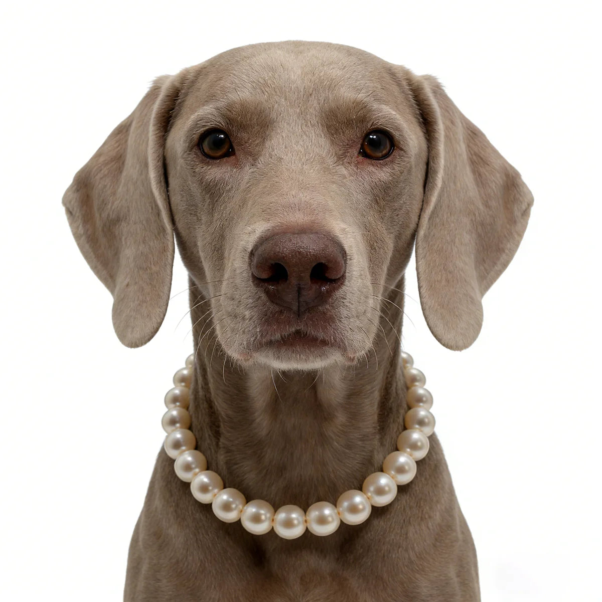 The Pearl Perfect Furrkin Necklace
