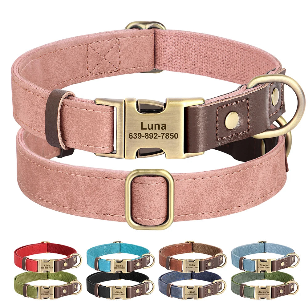 The Everyday Furrkin Collar