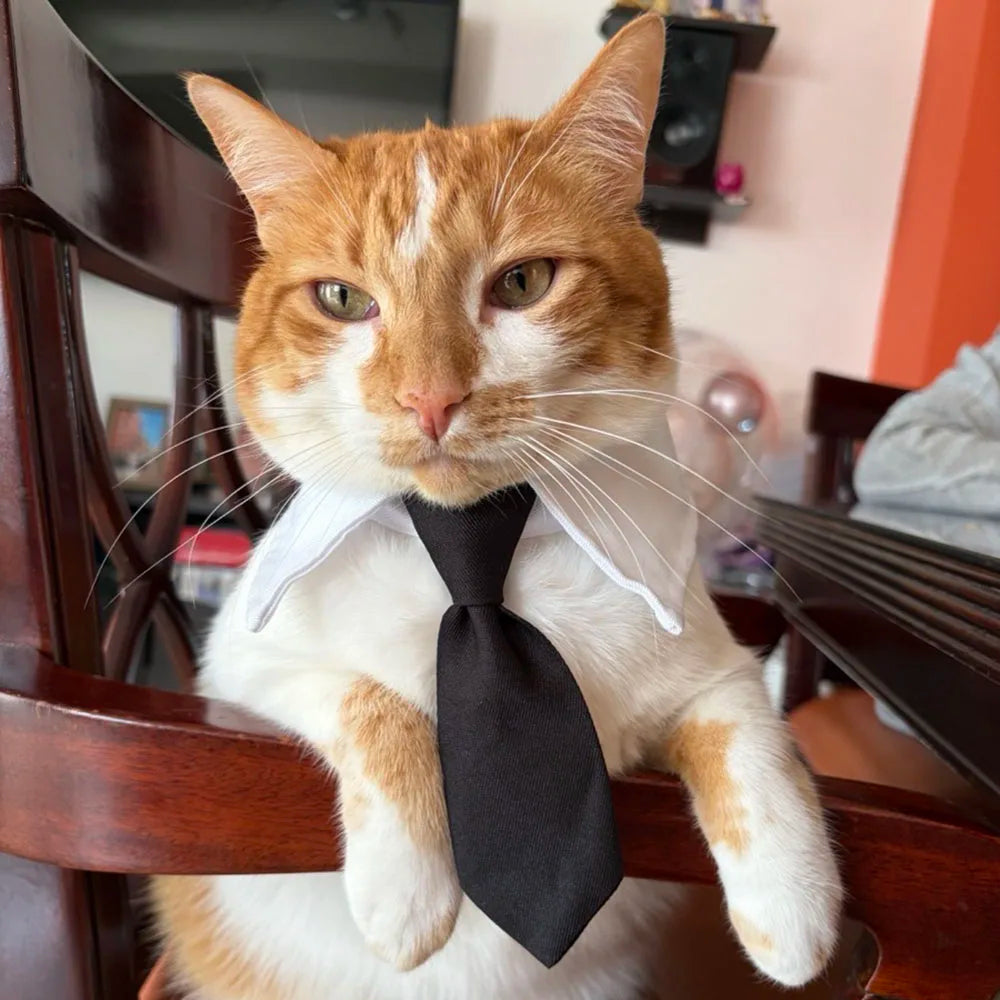 The Dapper Furrkin Necktie