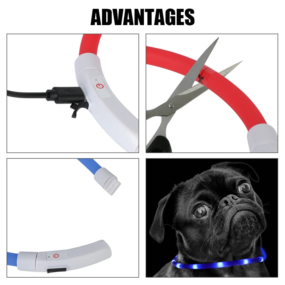 The Glow Along Furrkin Collar