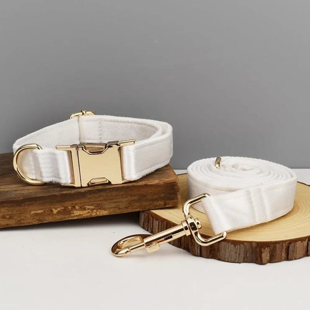 The Signature Furrkin Collar