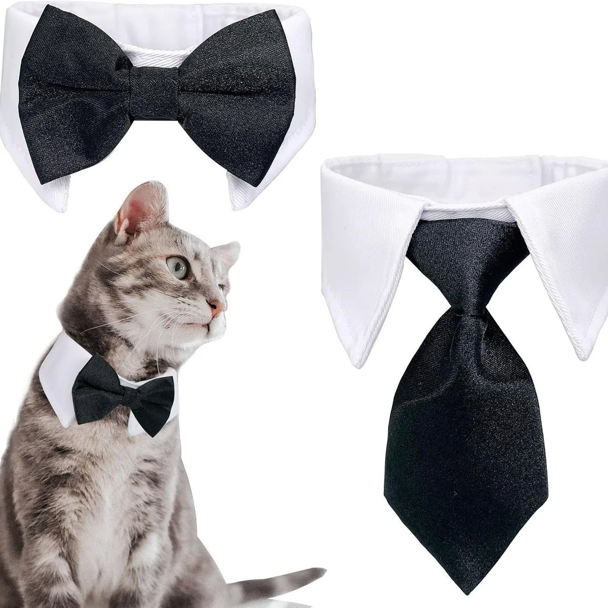 The Dapper Furrkin Necktie