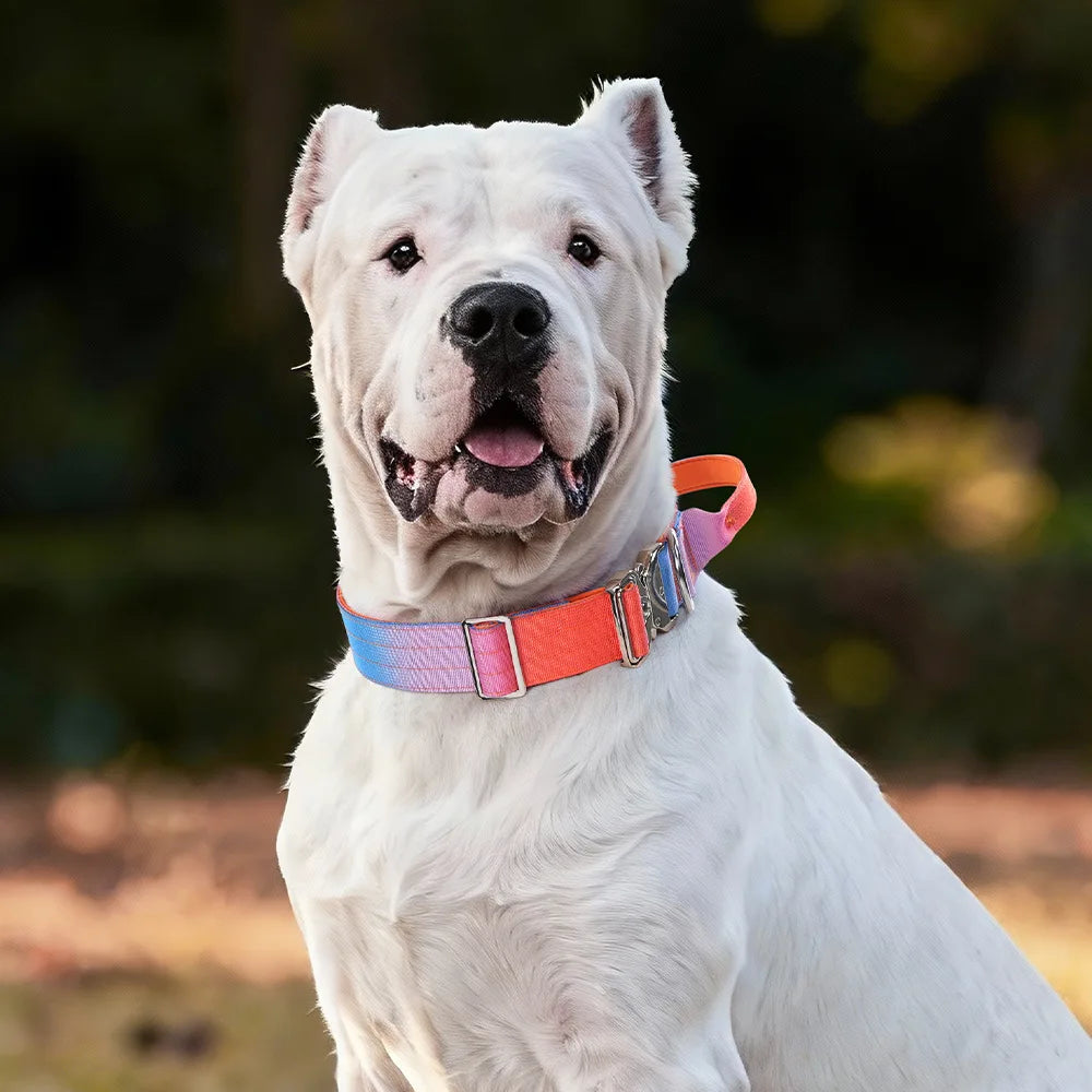 The Hold Close Furrkin Collar
