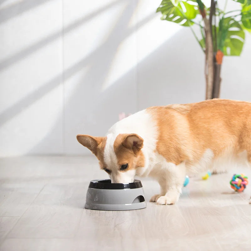 The Sip Easy Furrkin Water Bowl