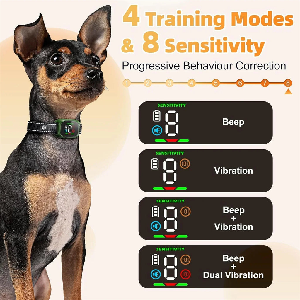 The Furrkin Training Companion Collar