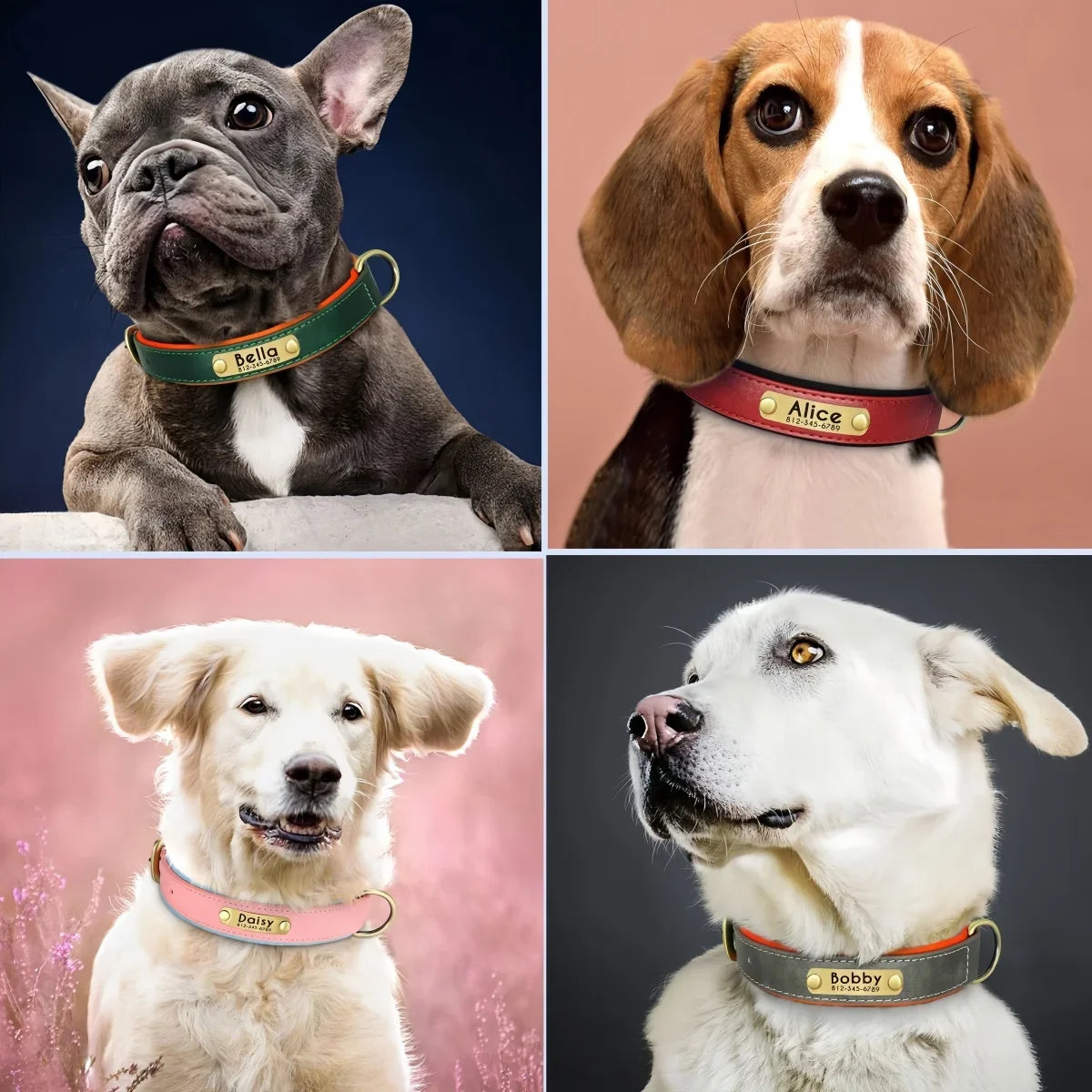 The Named & Padded Furrkin Collar