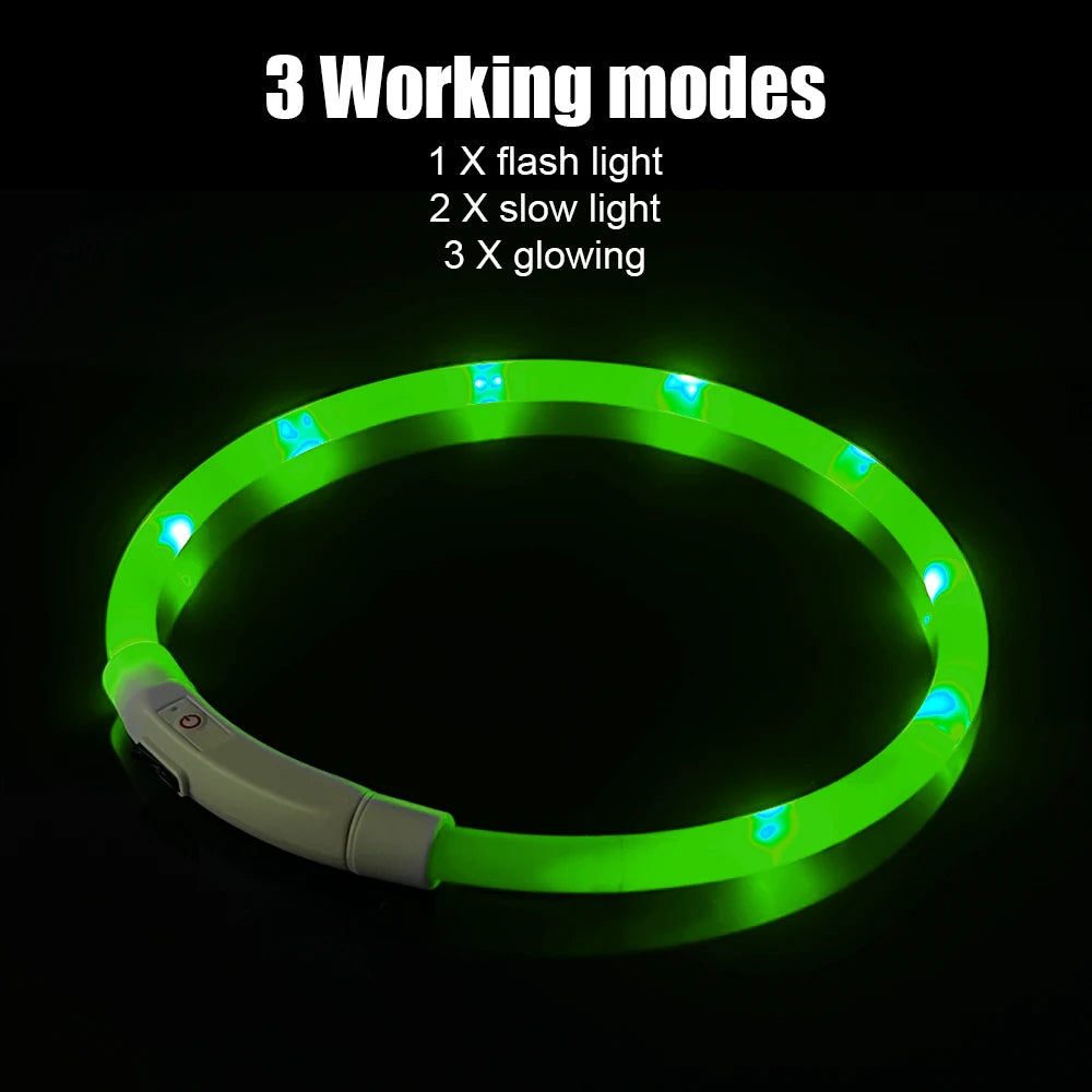 The Glow Along Furrkin Collar