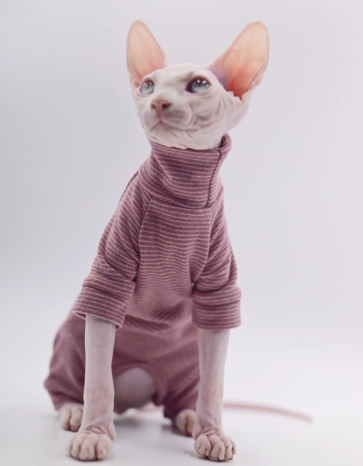 The Dusty Rose Furrkin Lounge Onesie
