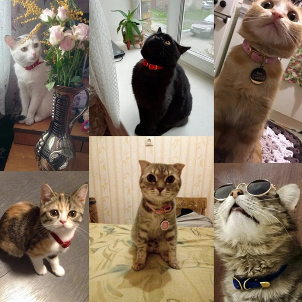 The Everyday Little Furrkin Cat Collar