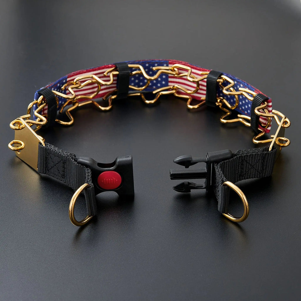 The Furrkin Stainless Steel Prong Collar