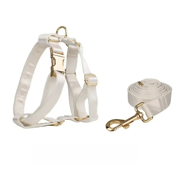 The Signature Furrkin Collar