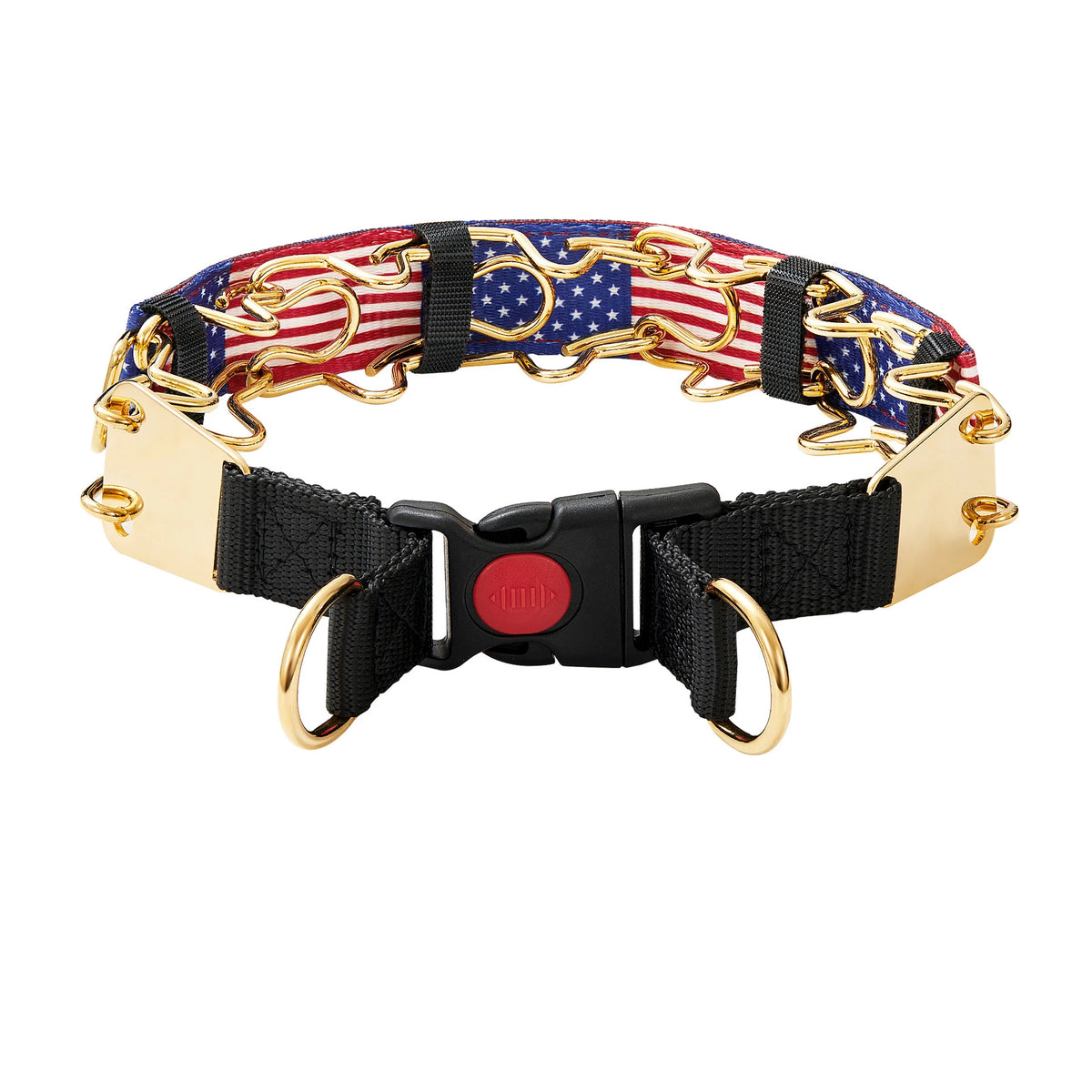 The Furrkin Stainless Steel Prong Collar