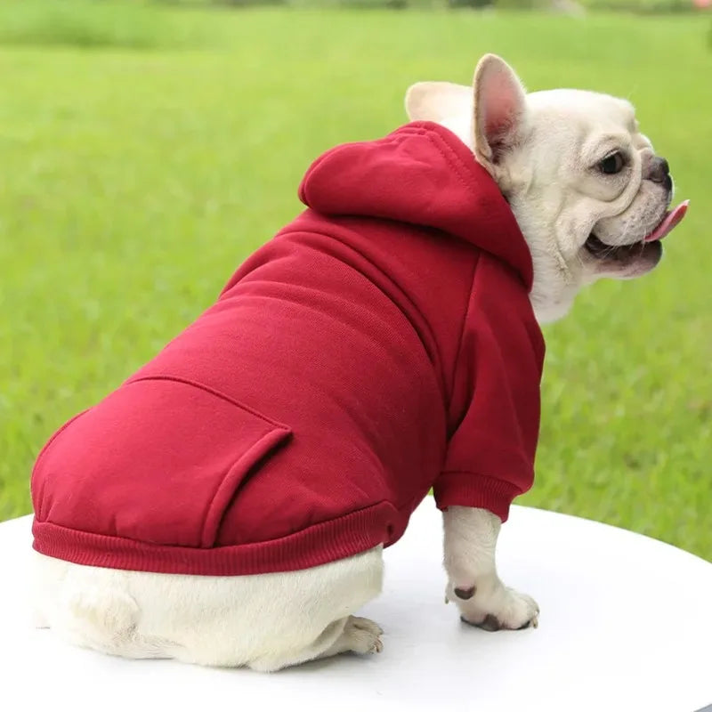The Couch Club Hoodie