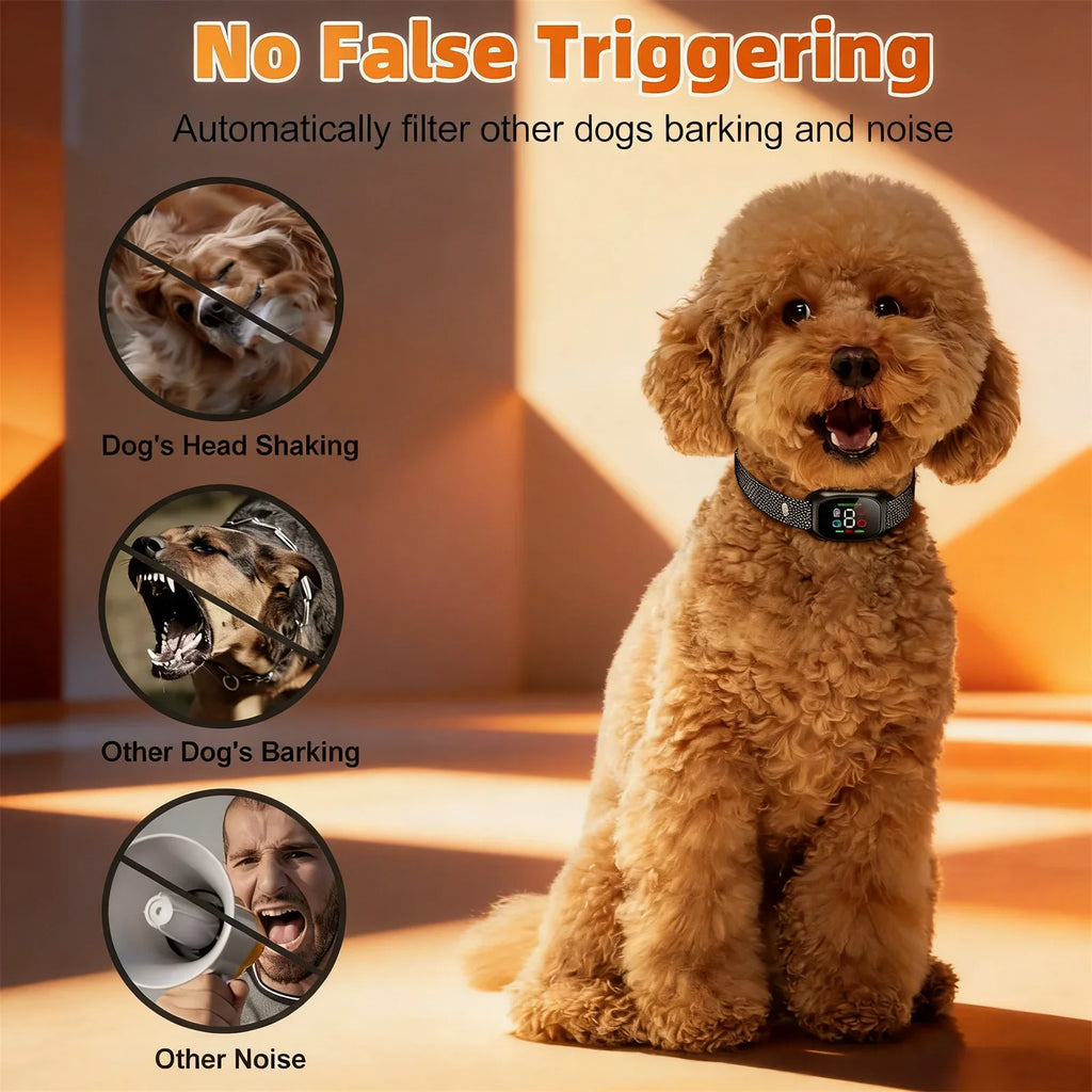 The Furrkin Training Companion Collar