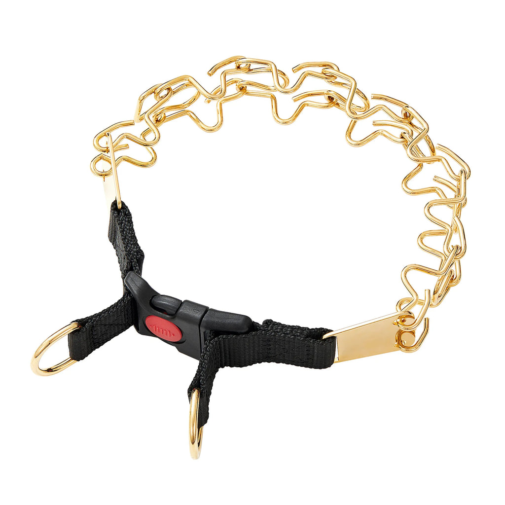 The Furrkin Stainless Steel Prong Collar