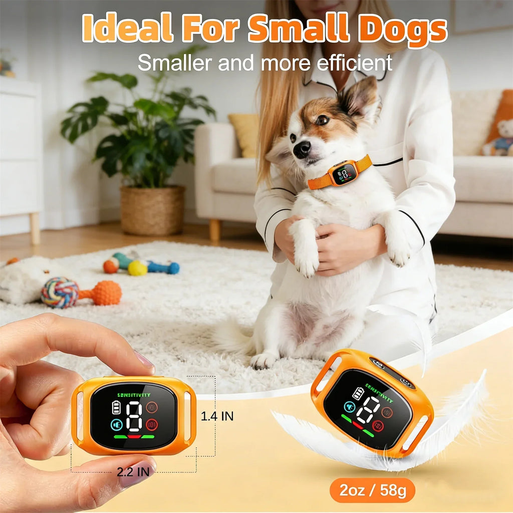 The Furrkin Training Companion Collar