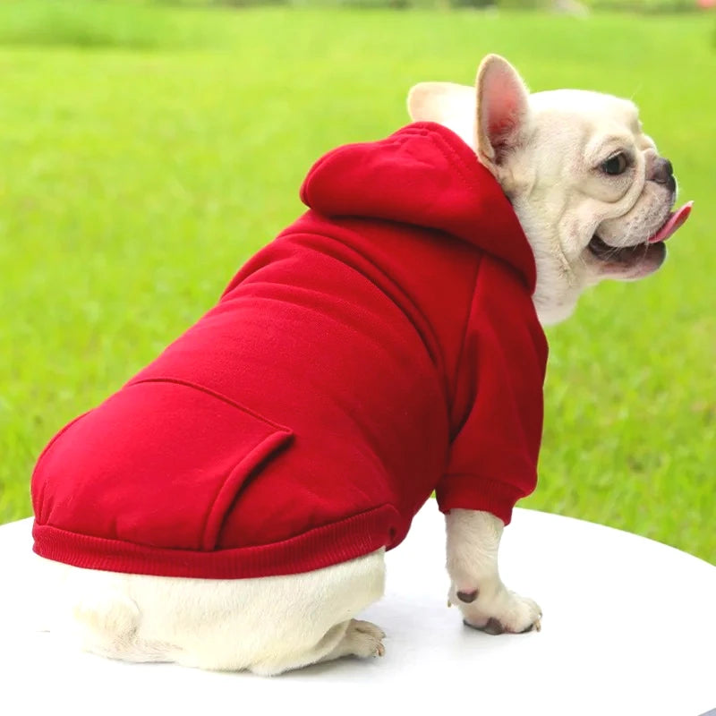 The Couch Club Hoodie