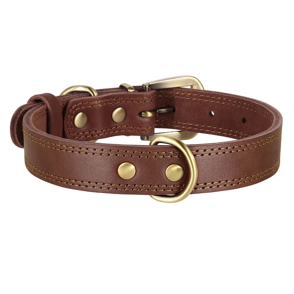 The Classic Furrkin Leather Collar