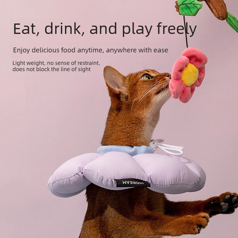 The Flower Hug Furrkin Recovery Collar