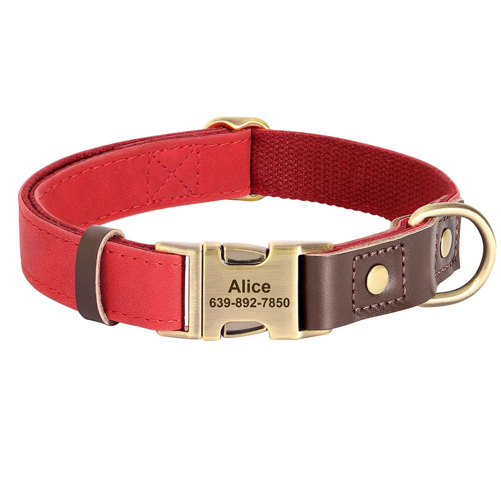 The Everyday Furrkin Collar