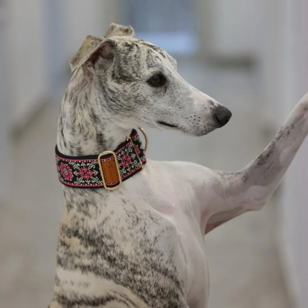 The Gentle Stride Furrkin Martingale