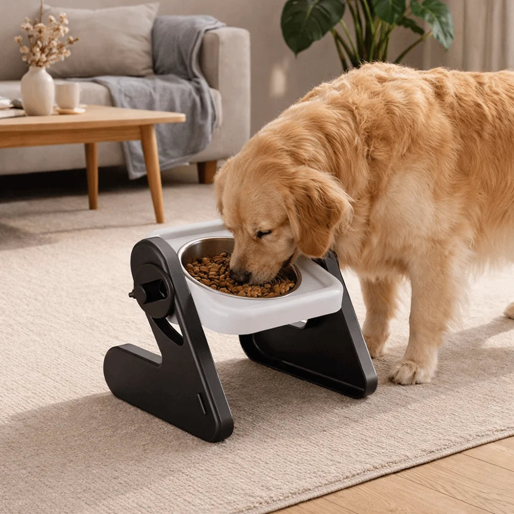 The Dinner Date Furrkin Bowl