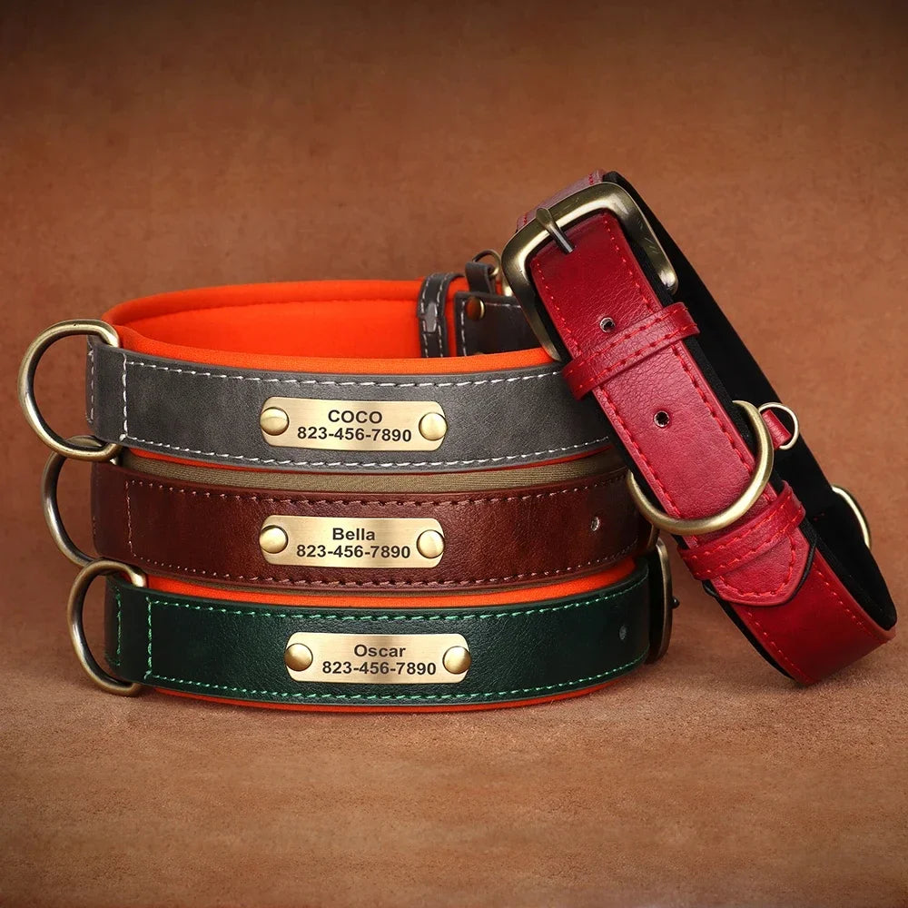 The Named & Padded Furrkin Collar