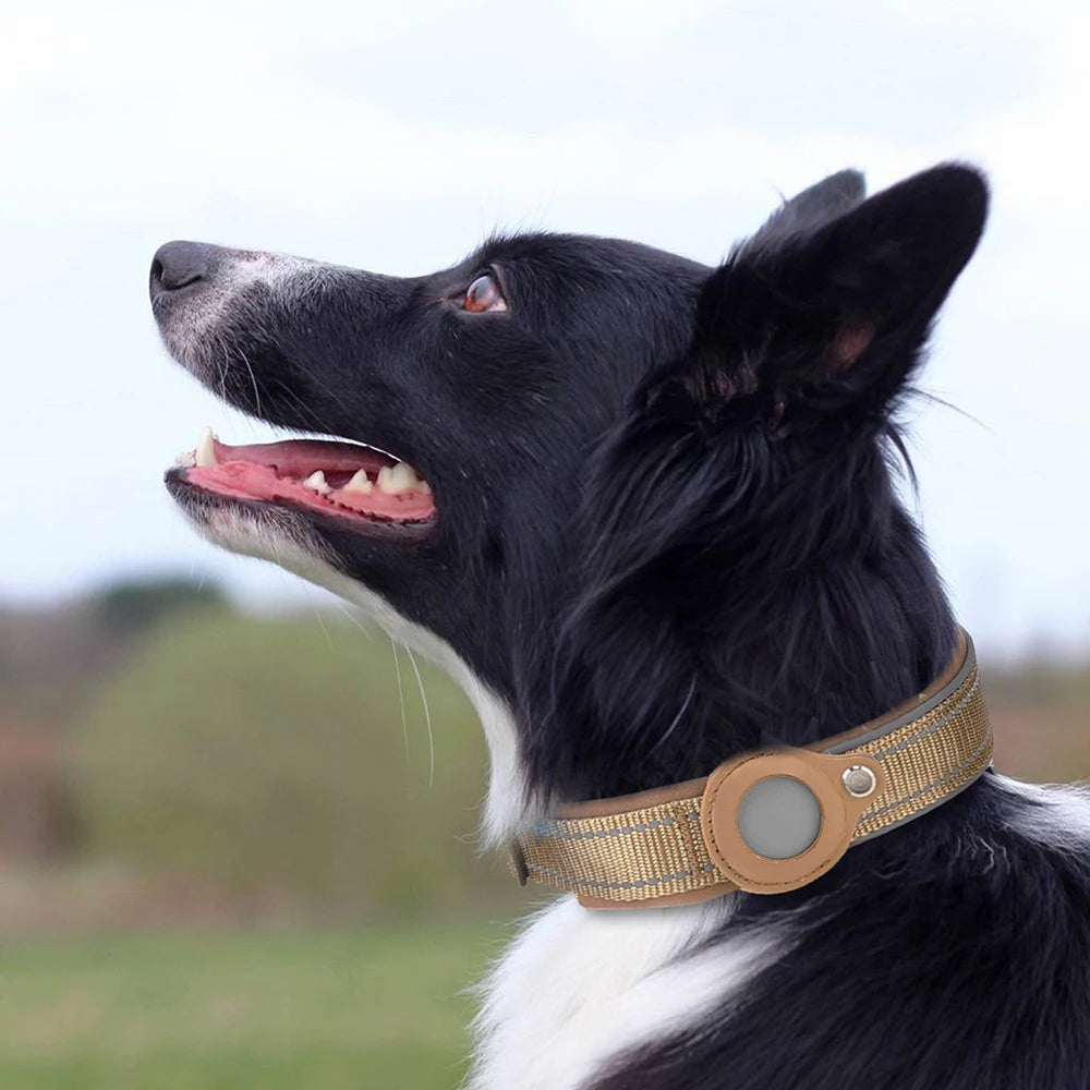 The Find My Furrkin AirTag Collar