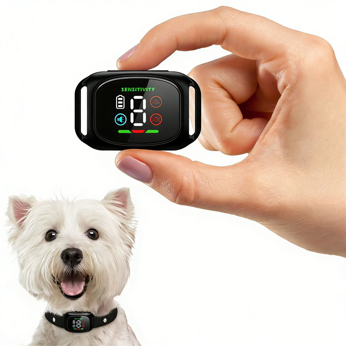 The Furrkin Training Companion Collar