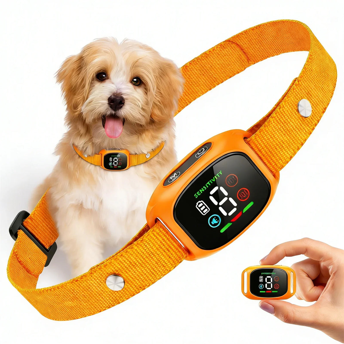 The Furrkin Training Companion Collar