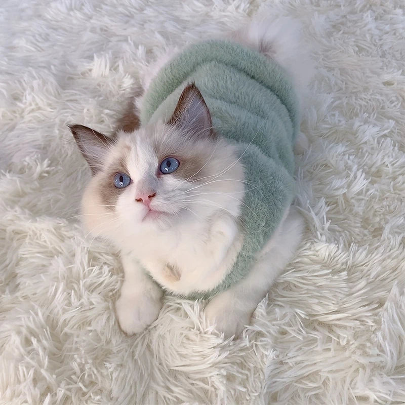 The Warm Little Lamb