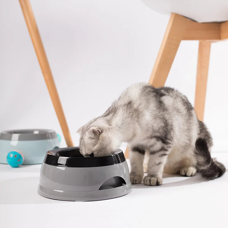 The Sip Easy Furrkin Water Bowl