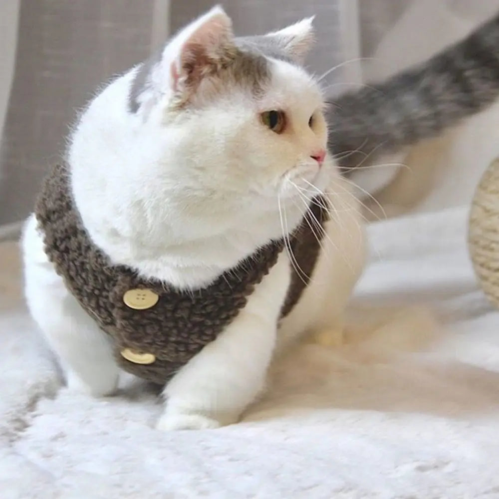 The Tiny Teddy Vest